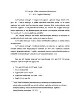 Referāts 'Lielo uzņēmumu nozīme Liepājas saimniecībā', 19.