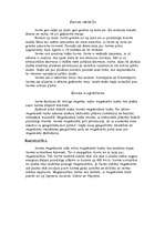 Konspekts 'Zeme', 4.