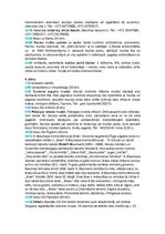 Paraugs 'Ceļojuma maršruta plāns pa Baltijas valstīm', 4.