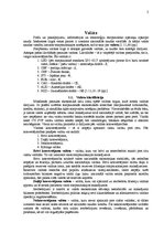 Referāts 'Valūta, tās veidi. Valūtas tirgus', 2.
