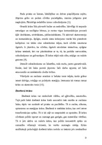 Referāts 'Krāsu psiholoģiskā ietekme', 13.