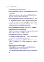 Referāts 'Krāsu psiholoģiskā ietekme', 24.