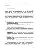 Referāts 'Uzņēmuma SIA "Dobeles dzirnavnieks" preču raksturojums un priekšlikumi to kvalit', 11.