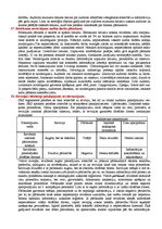 Konspekts 'Finanšu grāmatvedība', 34.