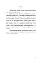 Referāts 'Rotaļlietas - bērna attīstības sekmētājas agrajā bērnībā', 2.