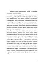 Referāts 'Rotaļlietas - bērna attīstības sekmētājas agrajā bērnībā', 3.