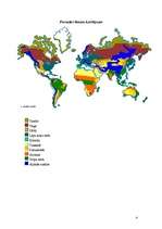 Referāts 'Biomi', 4.