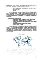 Referāts 'Biomi', 6.