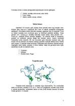 Referāts 'Biomi', 7.