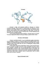 Referāts 'Biomi', 15.