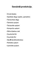 Konspekts 'Valmieras stikla šķiedra', 8.