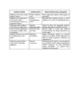 Prakses atskaite 'Aprūpes problēmas apdegumiem', 2.