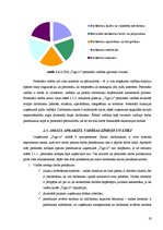 Prakses atskaite 'Prakses atskaite SIA "Tigo"', 19.