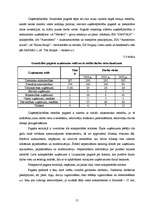 Referāts 'Grundzāles pagasta pašreizējā situācija un attīstības iespējas', 21.