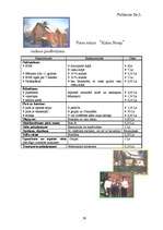 Referāts 'Grundzāles pagasta pašreizējā situācija un attīstības iespējas', 39.