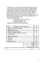 Konspekts 'Biznesa plāns', 6.