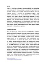 Eseja 'Informācijas tehnoloģiju uzņēmuma "Hewlett - Packard" problēmas analīze', 2.