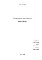 Referāts 'Mūzikas terapija', 1.