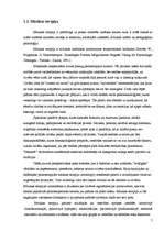 Referāts 'Mūzikas terapija', 7.