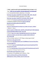 Referāts 'Karjeru izstrādē pielietojamās iekārtas', 13.