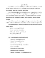 Referāts 'Risks', 5.