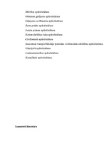 Referāts 'Risks', 6.