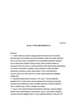 Referāts 'Ilgtspējīgās attīstības koncepcija', 17.