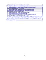 Prakses atskaite 'Atskaite par praksi IT uzņēmumā "Exigen Services"', 3.