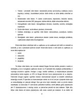 Prakses atskaite 'Atskaite par praksi IT uzņēmumā "Exigen Services"', 13.