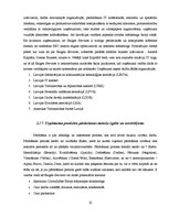 Prakses atskaite 'Atskaite par praksi IT uzņēmumā "Exigen Services"', 22.