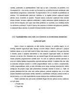 Prakses atskaite 'Atskaite par praksi IT uzņēmumā "Exigen Services"', 26.