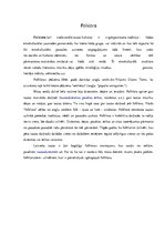 Referāts 'Latviešu folklora par latviešu valodu', 4.