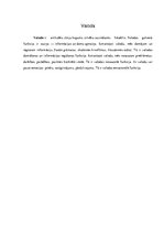 Referāts 'Latviešu folklora par latviešu valodu', 5.