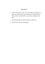 Referāts 'Latviešu folklora par latviešu valodu', 7.