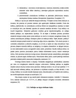 Diplomdarbs 'Alkohola delīrijs', 17.