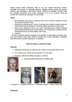 Referāts 'Senā Roma un Senā Ķīna', 5.