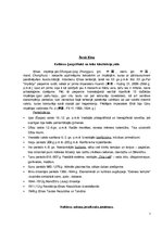 Referāts 'Senā Roma un Senā Ķīna', 7.