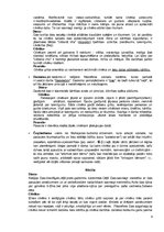 Referāts 'Senā Roma un Senā Ķīna', 9.