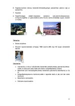 Referāts 'Senā Roma un Senā Ķīna', 12.