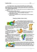 Referāts 'Mazgāšanas līdzekļi', 2.