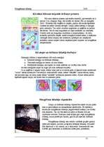 Referāts 'Mazgāšanas līdzekļi', 13.