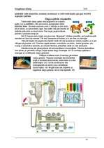 Referāts 'Mazgāšanas līdzekļi', 14.