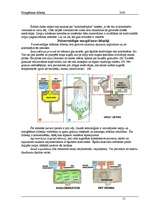 Referāts 'Mazgāšanas līdzekļi', 15.
