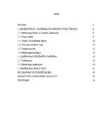 Referāts 'Uzņēmuma "X" mārketinga stratēģija', 1.