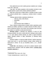 Referāts 'Uzņēmuma "X" mārketinga stratēģija', 6.