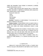 Referāts 'Uzņēmuma "X" mārketinga stratēģija', 12.