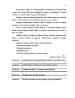 Referāts 'Uzņēmuma "X" mārketinga stratēģija', 14.