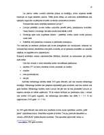 Referāts 'Uzņēmuma "X" mārketinga stratēģija', 18.