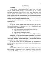 Referāts 'Uzņēmuma "X" mārketinga stratēģija', 24.