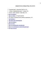 Referāts 'Uzņēmuma "X" mārketinga stratēģija', 28.